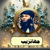 wisal2491
