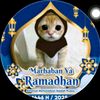 xy_sekar15