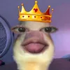 urboy_dave20