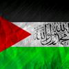 free._.palestine34