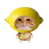 huyendieu_132