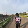 aull03.26