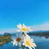 mamimu506memo
