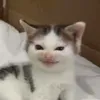 15022_12