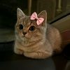 mariam.hossam92