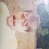 zsoltmilosics2