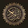 elsoudany11