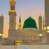 shahidali.malik844