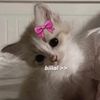 mssmiouser