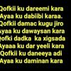 bishaar701