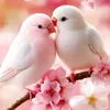 muhammad.javed7758