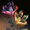 kasun.madhushan51