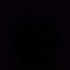 zayed_716