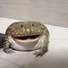 greg26941