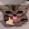 cxout3