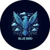 Blue.Bird_drones