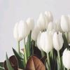 nanayykoo_09