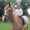 amber_van_loo.xx