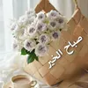 didida25