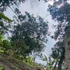 taufik_nurrohman02