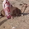 mariammntmohamed