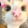 pwetty.ari