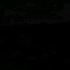 cdy__6