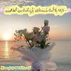 user8198771705154