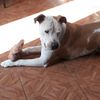 rockyra901