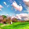 sourav.bardhan