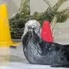 hazusjpudwo