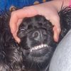 izzyneuroth