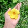 rafiaahmeed0