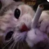 thichpunbo._.223