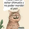 fan.de.los.picus442