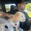 dadlifeforthewin