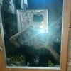 call me boi