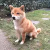 mariaxloin9