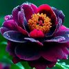 user219638047
