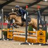 roos.showjumper