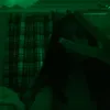 zqrxlo