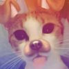 nrll4zzh