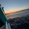 cliptwitch46