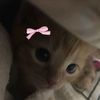cspiiluvss_0