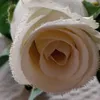 cucciola342