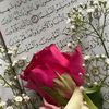 user2905302049508