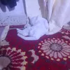user9238791718081