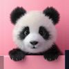 Hello! giant panda
