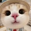 chansachan4
