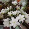 _thuhuyen1911